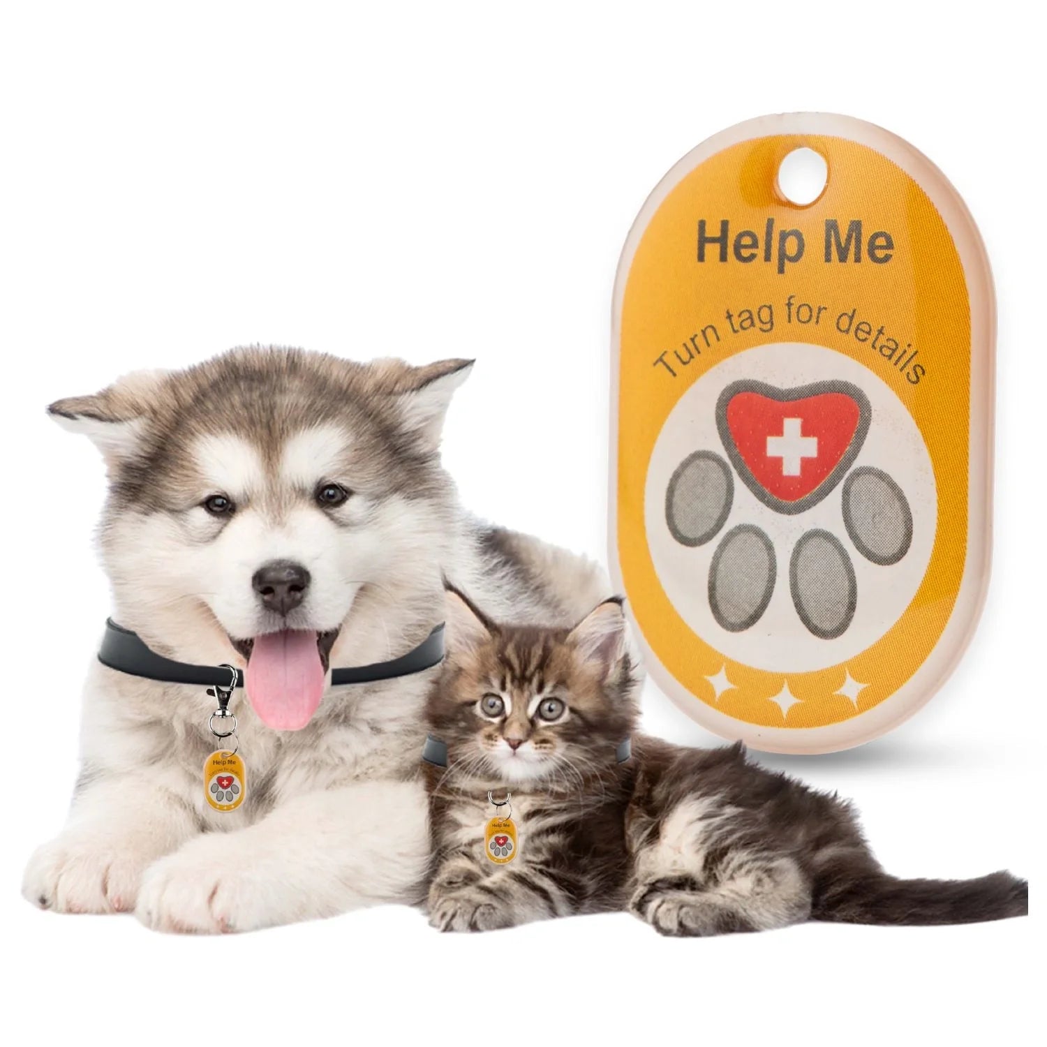 Genie Pet Tag Oval-0